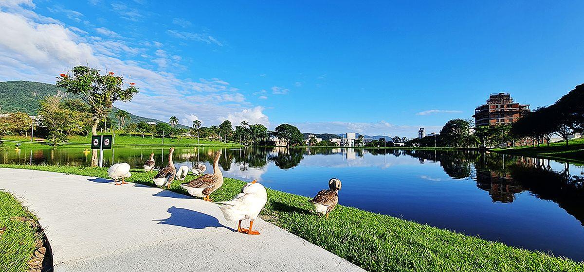 Apartamento, 3 quartos, 95 m² - Foto 20