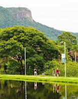 Apartamento, 2 quartos, 54 m² - Foto 18