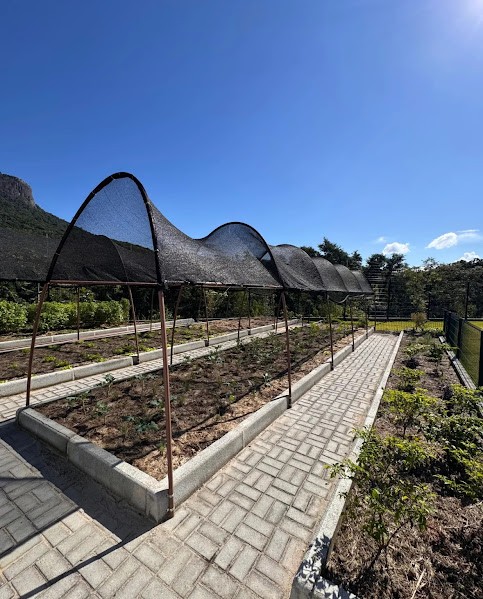 Apartamento, 2 quartos, 55 m² - Foto 17